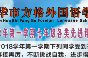 方格-2018學(xué)年第一學(xué)期七年級各類先進評比表彰