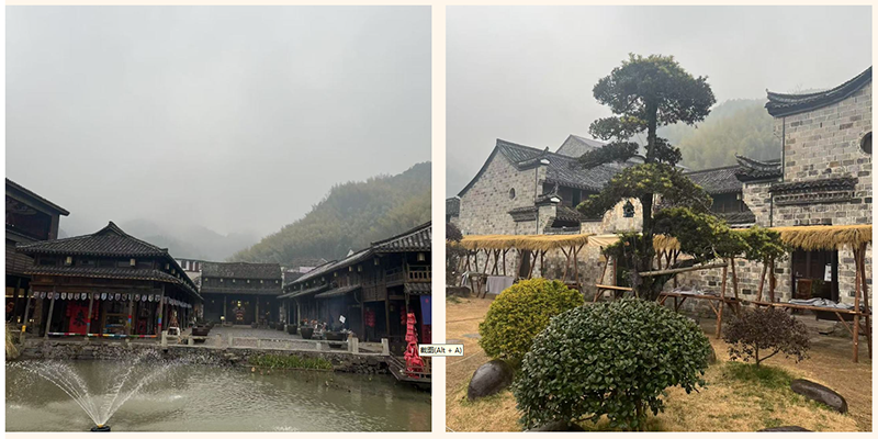 微信圖片_20250214103840.png